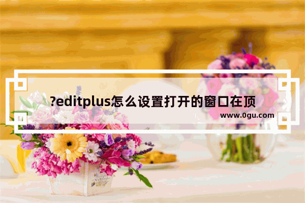 ?editplus怎么设置打开的窗口在顶部显示 ?editplus将标签栏放置在页面上方的方法