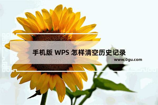 手机版 WPS 怎样清空历史记录