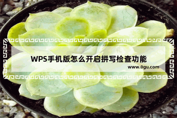 WPS手机版怎么开启拼写检查功能