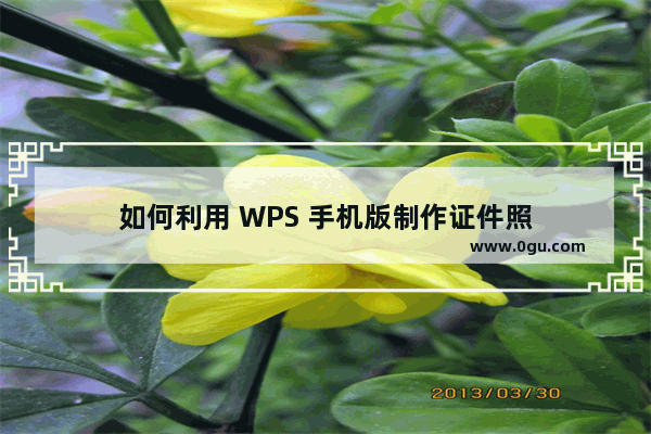 如何利用 WPS 手机版制作证件照