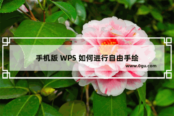 手机版 WPS 如何进行自由手绘