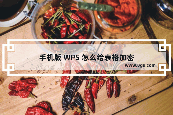 手机版 WPS 怎么给表格加密