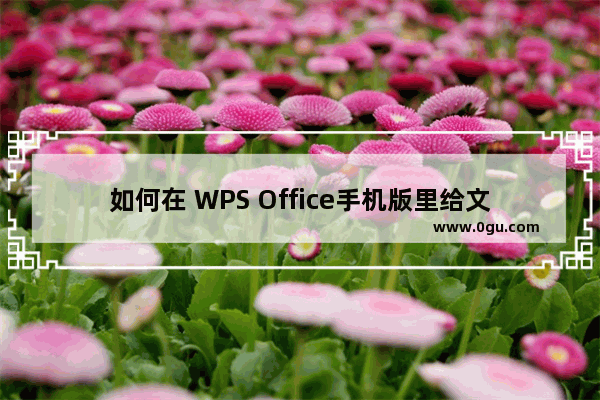 如何在 WPS Office手机版里给文档做批注