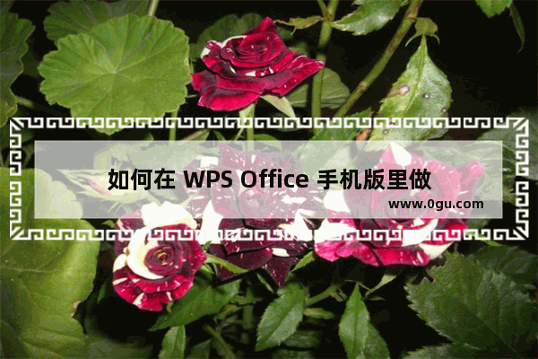 如何在 WPS Office 手机版里做文档瘦身