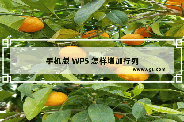 手机版 WPS 怎样增加行列