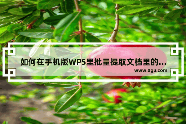 如何在手机版WPS里批量提取文档里的图片