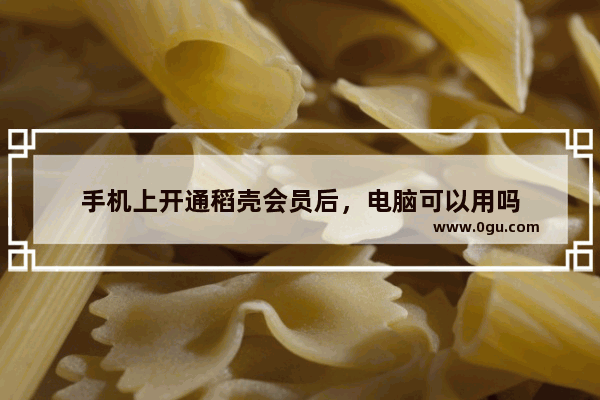 手机上开通稻壳会员后，电脑可以用吗