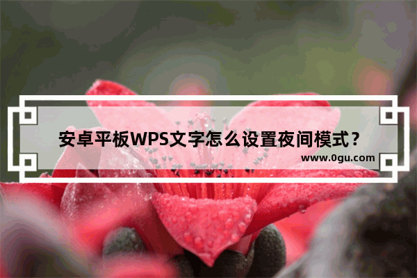 安卓平板WPS文字怎么设置夜间模式？