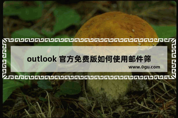 outlook 官方免费版如何使用邮件筛选器？