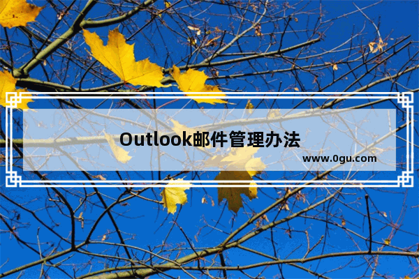 Outlook邮件管理办法