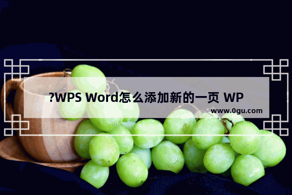 ?WPS Word怎么添加新的一页 WPS文档中增加新的一页的方法教程