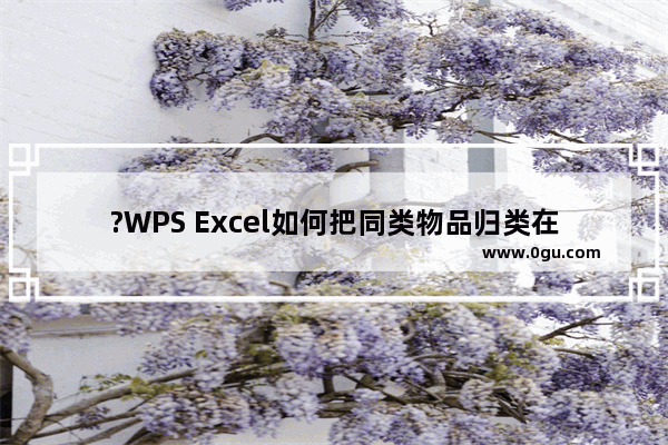 ?WPS Excel如何把同类物品归类在一起并求和 WPS表格中分类汇总的方法教程