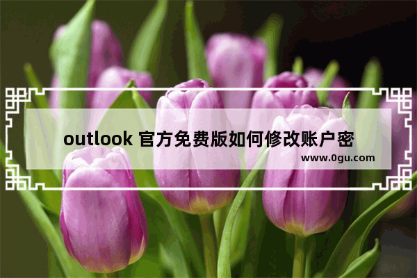 outlook 官方免费版如何修改账户密码？