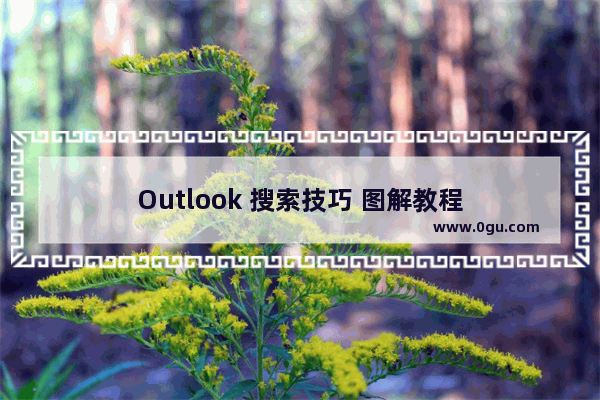 Outlook 搜索技巧 图解教程