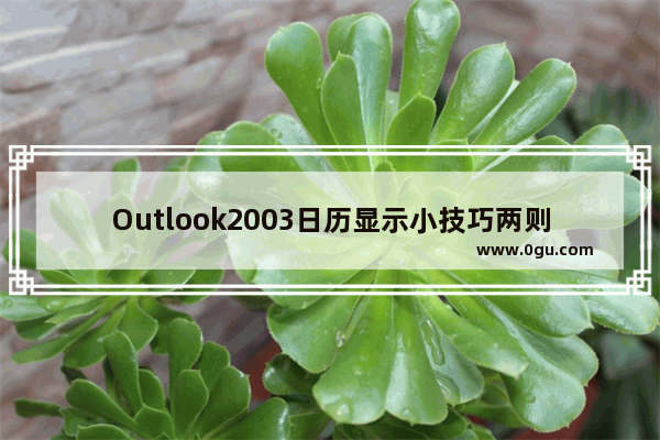 Outlook2003日历显示小技巧两则