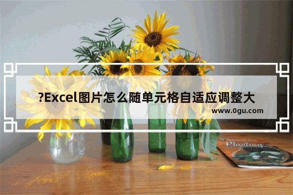 ?Excel图片怎么随单元格自适应调整大小 Excel表格设置图片随着格子调整大小的方法教程