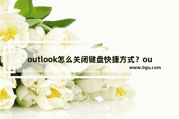 outlook怎么关闭键盘快捷方式？outlook关闭键盘快捷方式教程