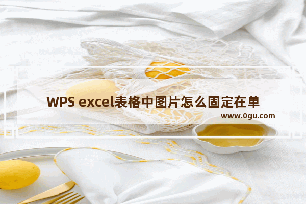 WPS excel表格中图片怎么固定在单元格里 WPS excel将图片固定在单元格里的方法