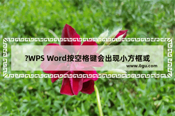 ?WPS Word按空格键会出现小方框或小圆点怎么关闭 WPS文档取消空格出现的圆点或方块的方法教程