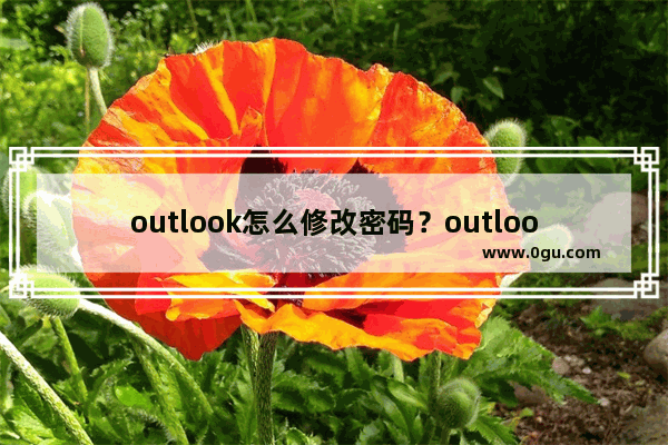 outlook怎么修改密码？outlook修改密码教程