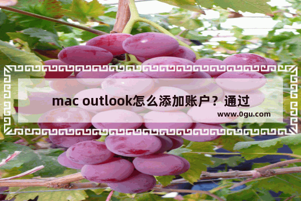 mac outlook怎么添加账户？通过outlook自动添加的邮箱账户