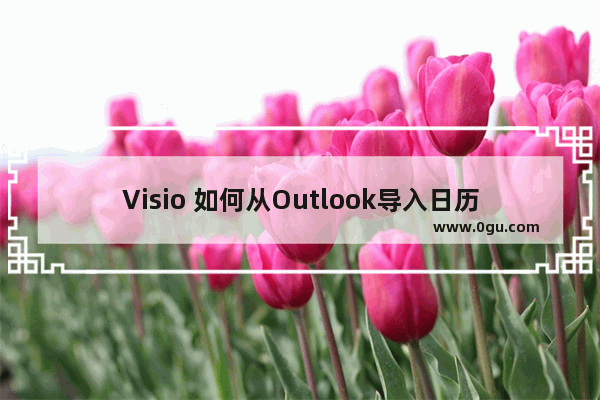 Visio 如何从Outlook导入日历