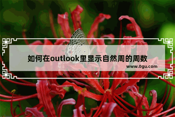 如何在outlook里显示自然周的周数