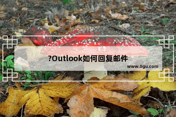 ?Outlook如何回复邮件