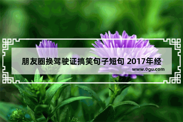 朋友圈换驾驶证搞笑句子短句 2017年经典搞笑句子