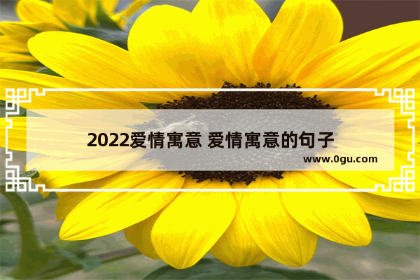 2022爱情寓意 爱情寓意的句子