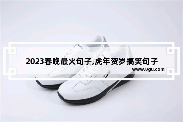 2023春晚最火句子,虎年贺岁搞笑句子