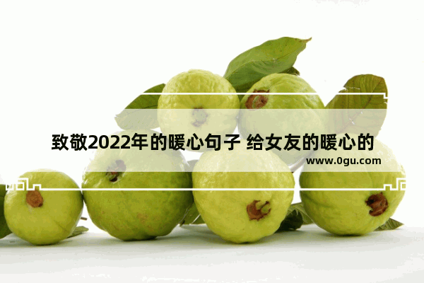 致敬2022年的暖心句子 给女友的暖心的句子