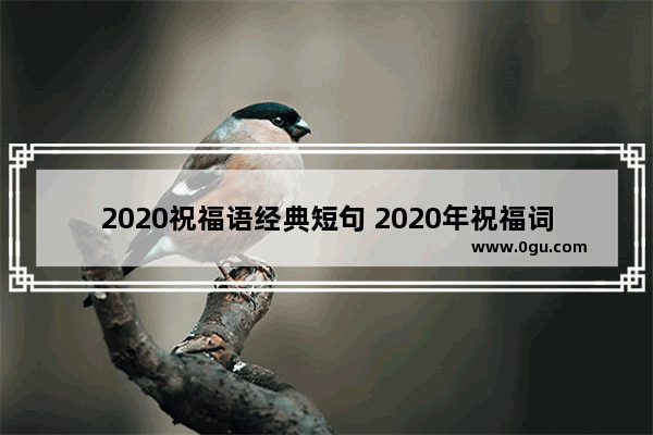 2020祝福语经典短句 2020年祝福词幽默句子