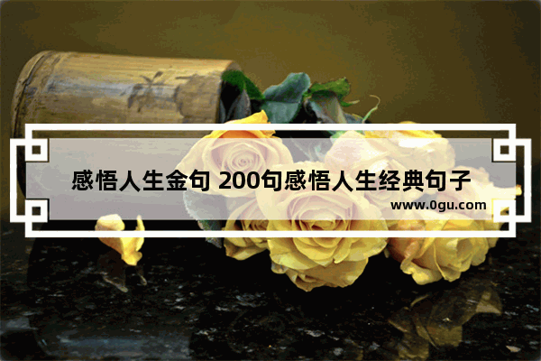 感悟人生金句 200句感悟人生经典句子