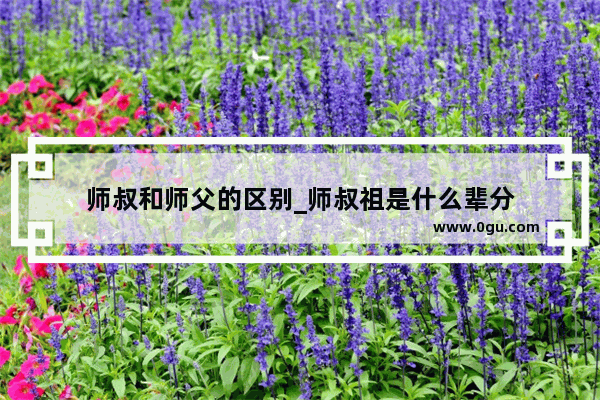 师叔和师父的区别_师叔祖是什么辈分