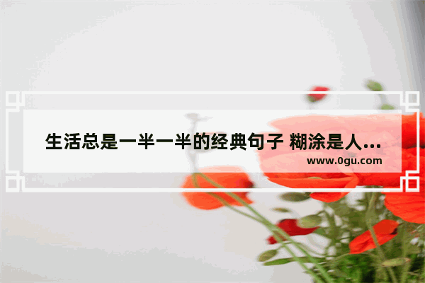 生活总是一半一半的经典句子 糊涂是人生常态的句子