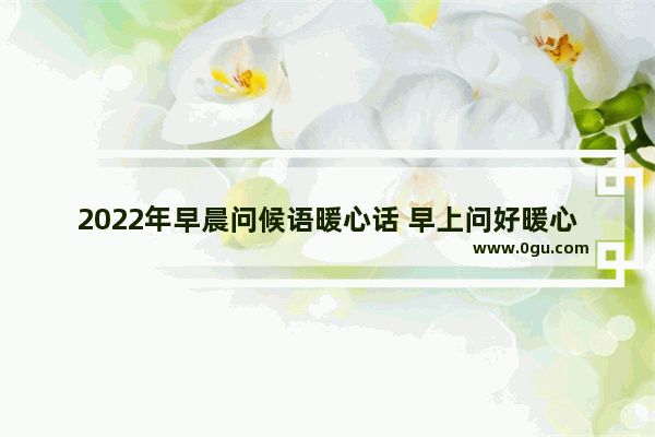 2022年早晨问候语暖心话 早上问好暖心句子加图片