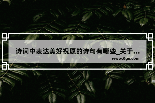 诗词中表达美好祝愿的诗句有哪些_关于感党恩知奋进爱祖国的诗句