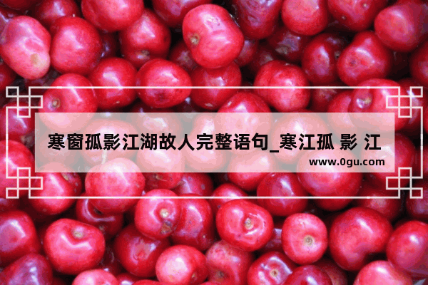 寒窗孤影江湖故人完整语句_寒江孤 影 江湖故人 相逢何必曾相识 什么意思 应该怎样回应对方的诗句