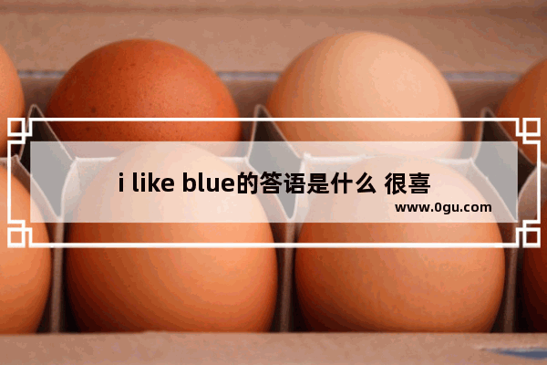 i like blue的答语是什么 很喜欢海的句子名字英语