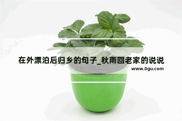 在外漂泊后归乡的句子_秋雨回老家的说说