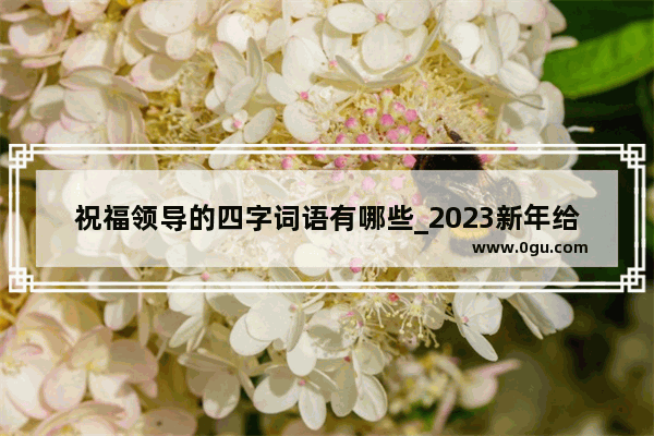 祝福领导的四字词语有哪些_2023新年给领导发祝福语