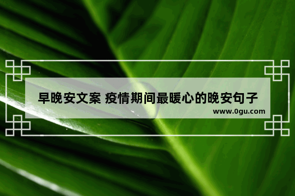 早晚安文案 疫情期间最暖心的晚安句子