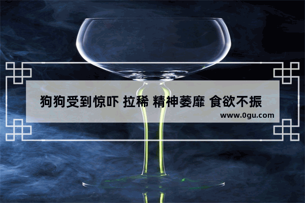 狗狗受到惊吓 拉稀 精神萎靡 食欲不振 怎么办,形容动物生活不易的句子