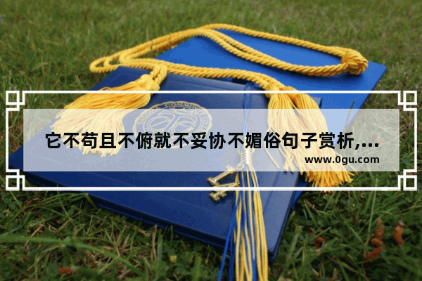 它不苟且不俯就不妥协不媚俗句子赏析,对生活不能妥协的句子