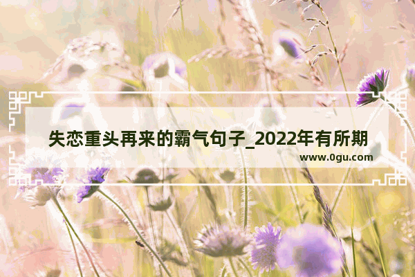 失恋重头再来的霸气句子_2022年有所期待的句子