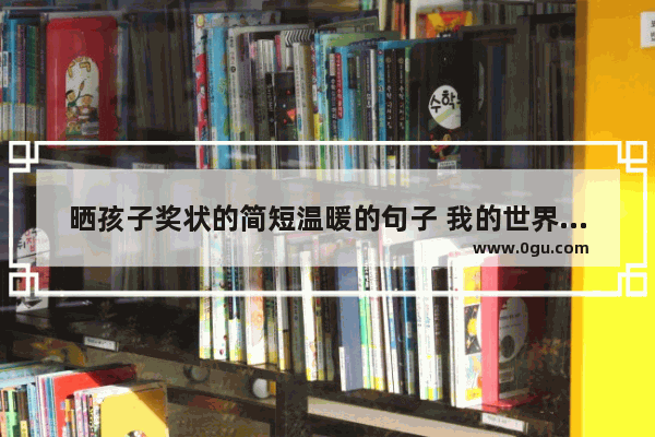 晒孩子奖状的简短温暖的句子 我的世界最暖心句子说说