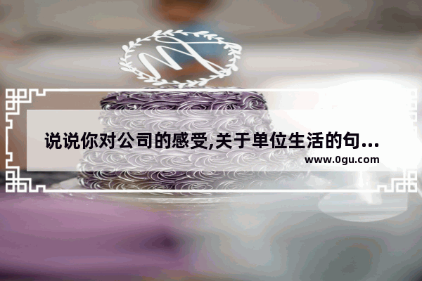 说说你对公司的感受,关于单位生活的句子唯美