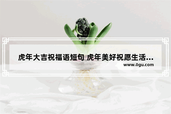 虎年大吉祝福语短句 虎年美好祝愿生活的句子