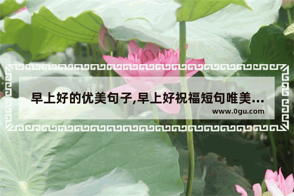 早上好的优美句子,早上好祝福短句唯美句子